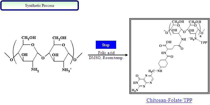 Folic Acid를 도입한 Chitosan