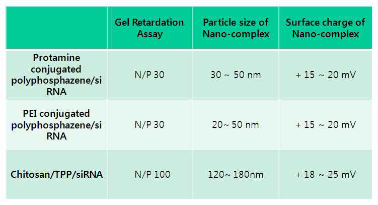 siRNA/폴리머 complex의 전기영동 시험