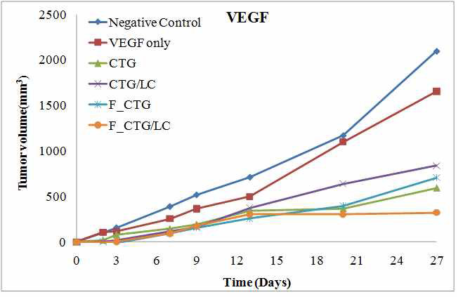 VEGF siRNA를 이용한 in vivo 종양 억제효력 평가