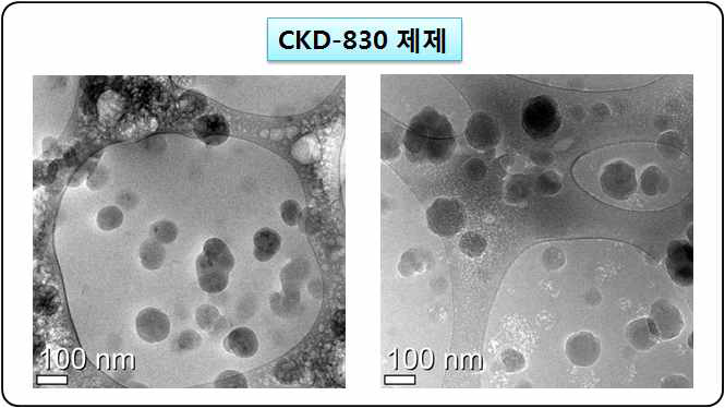 CKD-830 키토산 나노복합체의 구조 (동결 전자현미경)