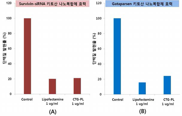 Survivin siRNA 및 Gataparsen이 도입된 CKD-830 나노복합체 (CTG-PL) 효력 평가