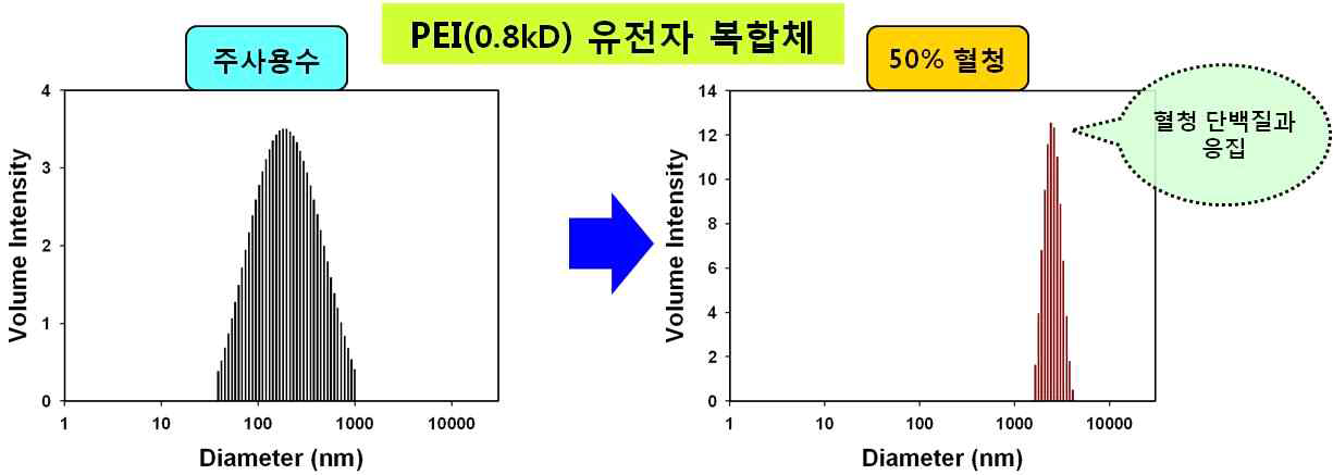 PEI 나노복합체의 입자 안정성 평가 결과