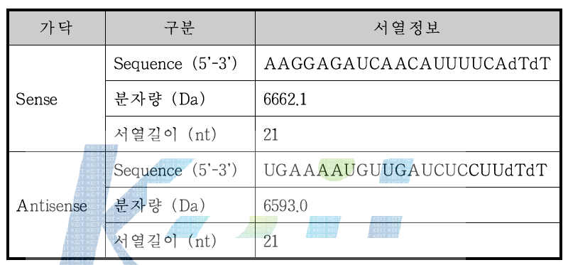 HPLC 분석법에 사용된 survivin siRNA 정보