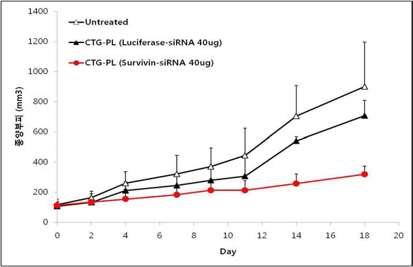 Survivin siRNA가 적용된 CKD-830 키토산 나노복합체 종양 억제효력 평가