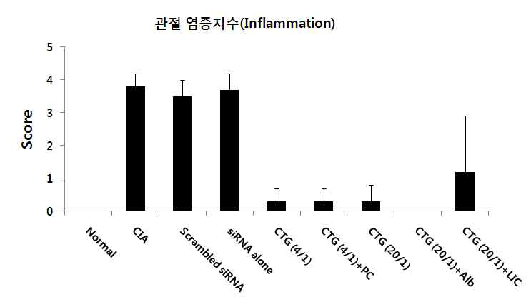 관절염 조직 염증 지수