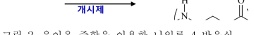 음이온 중합을 이용한 나일론 4 반응식