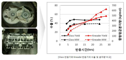 Glass 반응기와 Knedaer 반응기의 수율 및 분자량 비교