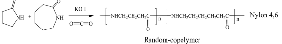 나일론 4,6 공중합체 중합 메카니즘