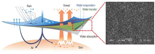 숨쉬는 쾌적섬유소재 개요도(좌) 및 숨쉬는 쾌적섬유소재용 다공성 membrane(우)