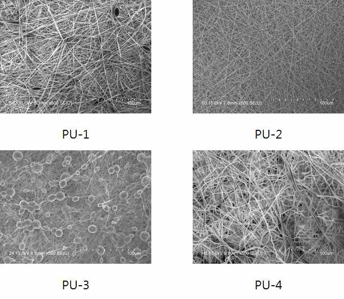 고분자 종류에 따른 Nano-web의 SEM 관찰 결과