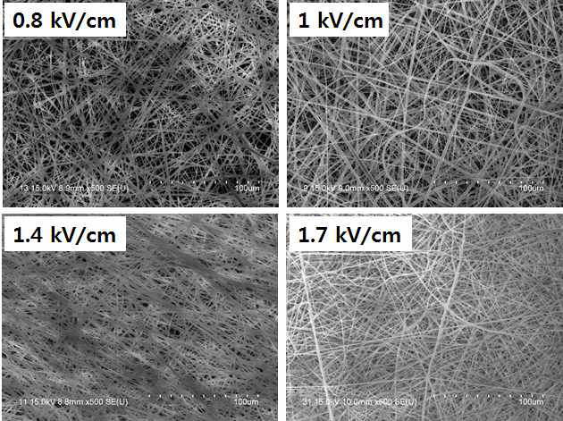 전압세기에 따른 나노섬유 SEM 사진