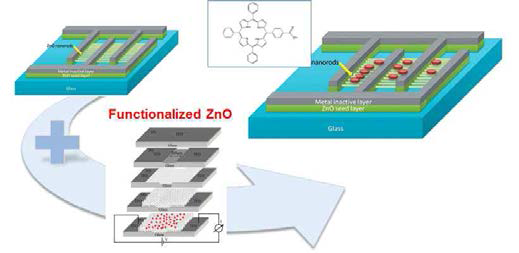 기능화된 ZnO 나노구조체 센서 개념도