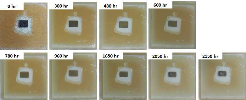 Glass encapsulation Ca test의 detection limit 증가