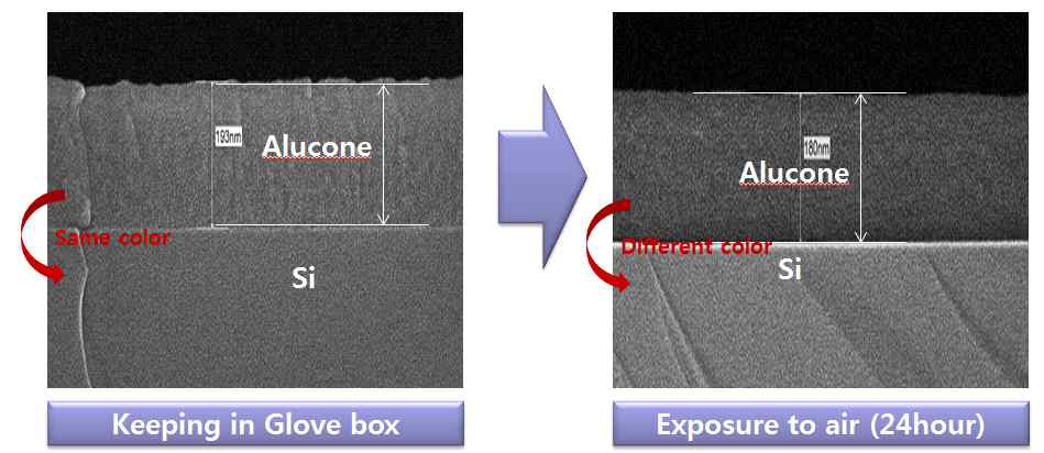 Alucone 박막의 단면 FE-SEM 이미지. 제작 후 24시간동안 Glove box 안에 보관한 샘플 (좌)과 대기중에 보관한 샘플 (우)을 통해 두께감소가 발생된 것을 확인.