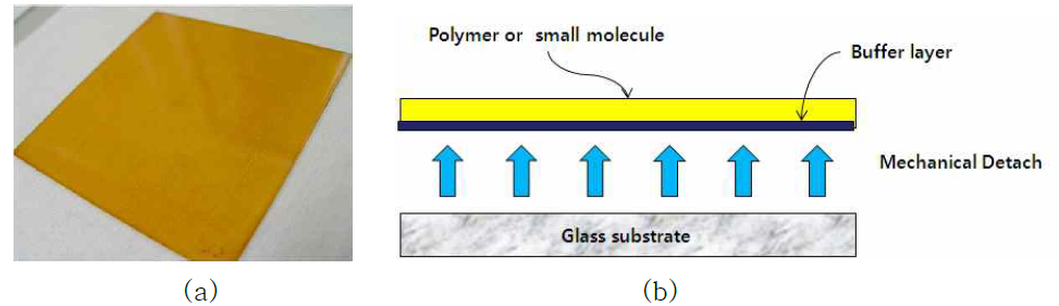 Buffer 층을 포함하는 PI 기판의 (a) 이미지와 (b) PI 기판을 유리 기판에서 떼어내는 공정 모식도