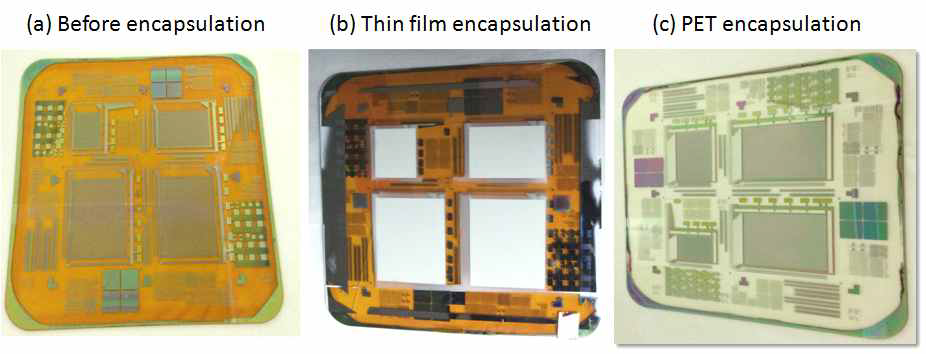 (a)plastic 기판에 제작된 TFT array 위에 OLED를 구성한 이미지,(b)박막으로 encapsulation 한 AMOLED 기판이미지, (c)PET 이용한 encapsulation의 AMOLED기판 이미지