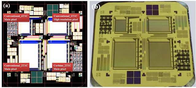 2-inch급 Plastic AMOLED (a) design view와 (b) Mask 및 AMOLED Backplane