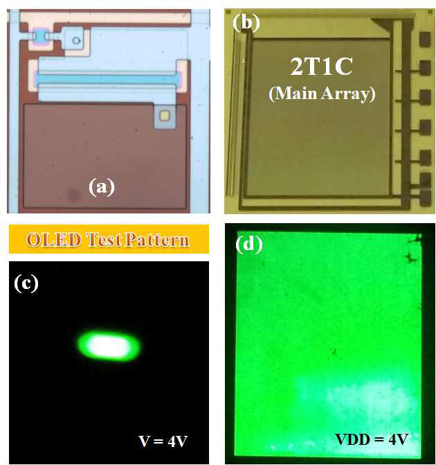 Plastic 기판에 제작된 AMOLED Main 디스플레이 (a) 제작 된 2T1C – Pixel Circuit Optical Image, (b) 제작 된 AMOLED TFT Array, (c) 제작 된 OLED Test Pattern, (d) AMOLED의 전면 발광 이미지