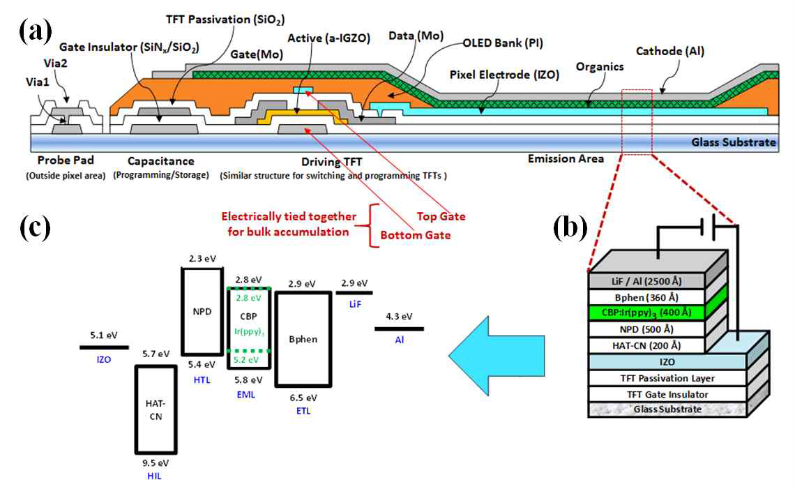 4-inch급 Plastic AMOLED 시제품 설계의 (a) 전체 cross section view, (b) OLED 구조와 (c) OLED energy band diagram