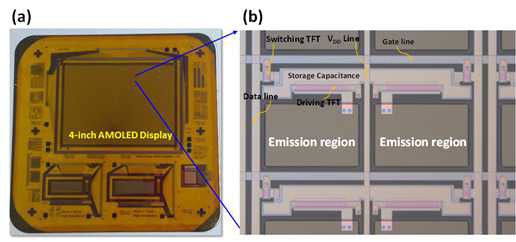 (a) Plastic 기판 상에 제작 된 4-inch급 Plastic AMOLED backplane 시제품 및 (b) Pixel Optical image