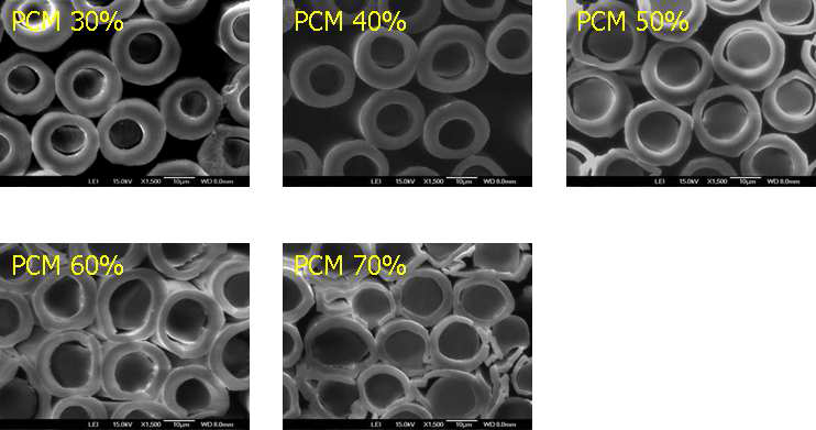 PLA/PCM Sheath/Core 복합 섬유 단면