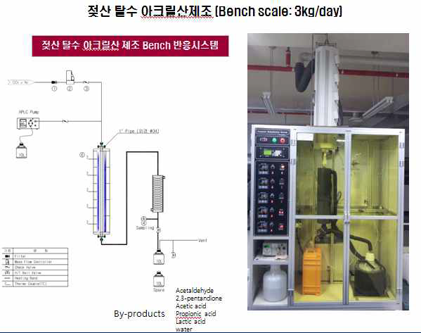 젖산 탈수 아크릴산 제조[batch scale]