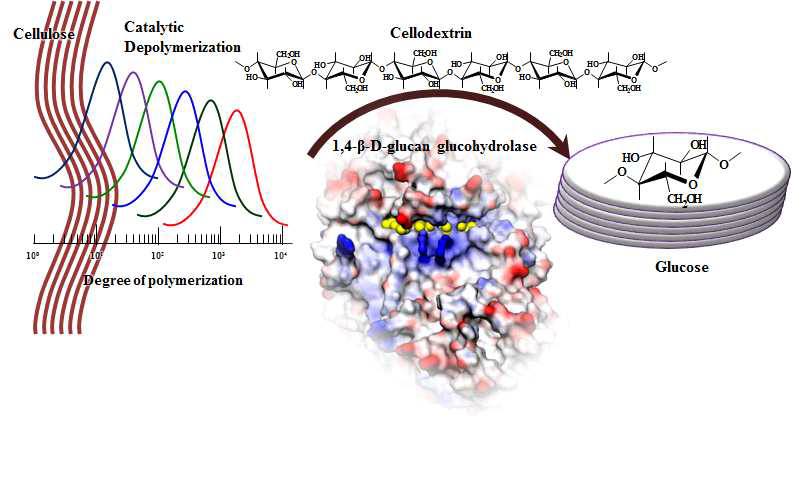 Chemical depolymerization/Single enzymatic saccharification