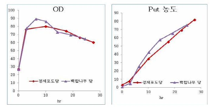 30L 발효조 백합나무당 배양 결과