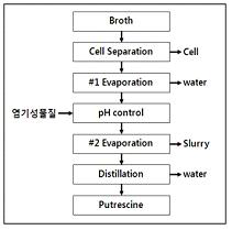 정제 process flow sheet