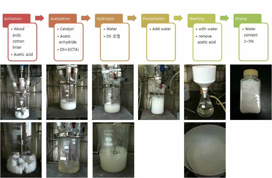 셀룰로오스 아세테이트 합성 공정 및 각 공정별 반응물 변화