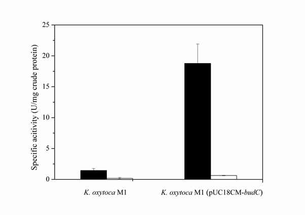 K. oxytoca M1과 K. oxytoca M1 (pUC18CM-budC) 균주의 아세토인 환원 활성과 2,3-BDO 산화 활성 비교. 아세토인 환원 활성 (■), 2,3-BDO 산화 활성 (□).