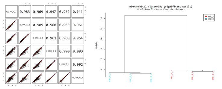 KMK-A와 KMK-B의 각 샘플간 Correlation 및 Hierarchial Clustering.