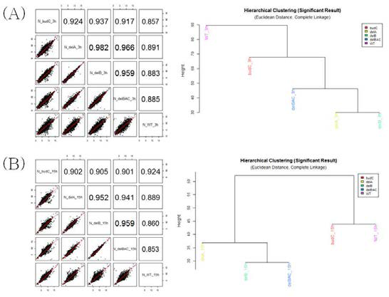 K. pneumoniae mutant의 각 샘플간 Correlation 및 Hierarchial Clustering.