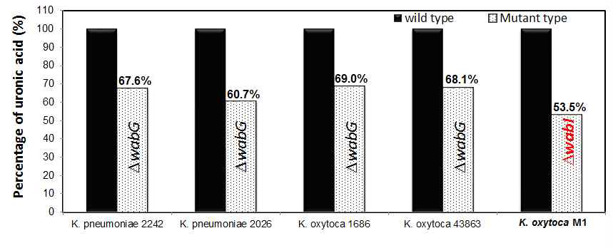 Capsule 정량을 통한 wild type과 mutant type(△wabG, △wabI) 간의 capsule polysaccharide 양의 차이를 비교한 실험 결과 그래프.