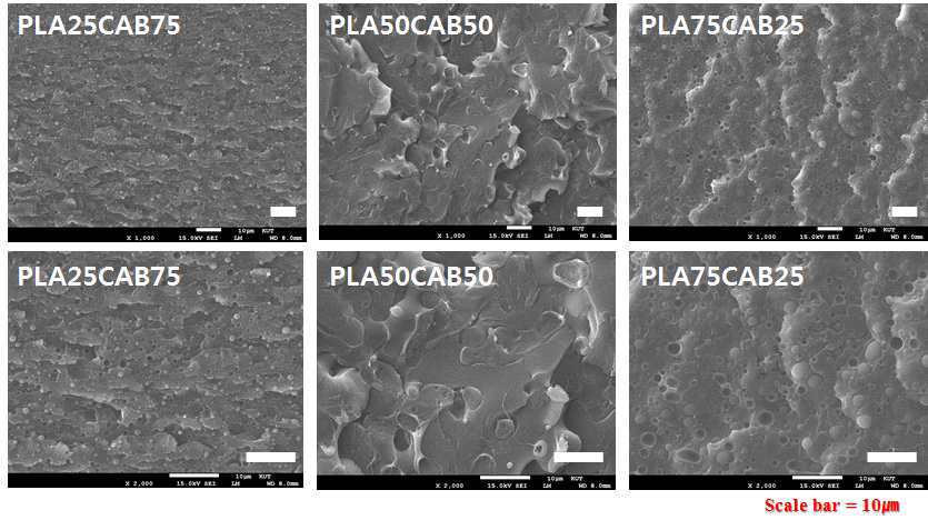 FE-SEM micrographs of PLA/CAB blends