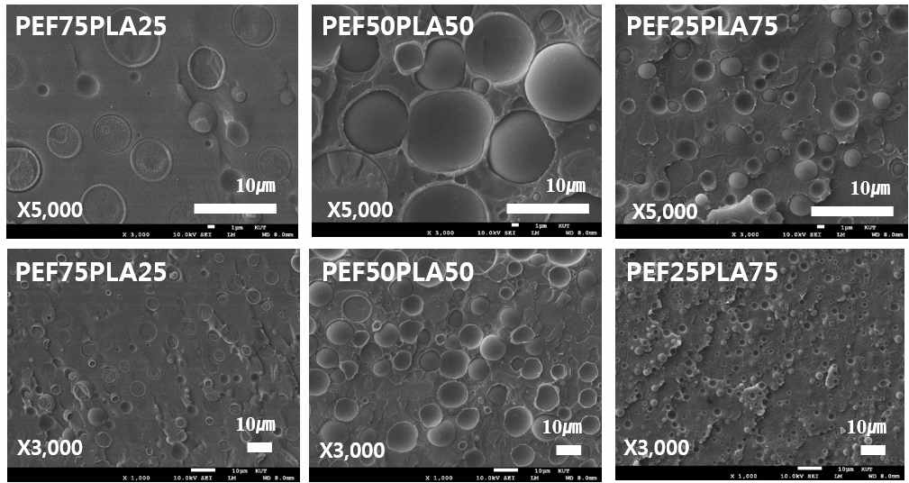 FE-SEM results of Furan based polyester/PLA melt blend