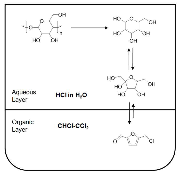 진한 염산과 유기용매(1,1,2-trichloroethane, TCE)를 이용한 이성분 계상 반응에 의한 셀룰로오스로부터 푸르푸랄 유도체로의 직접 전환반응에 대한 공정 개요도