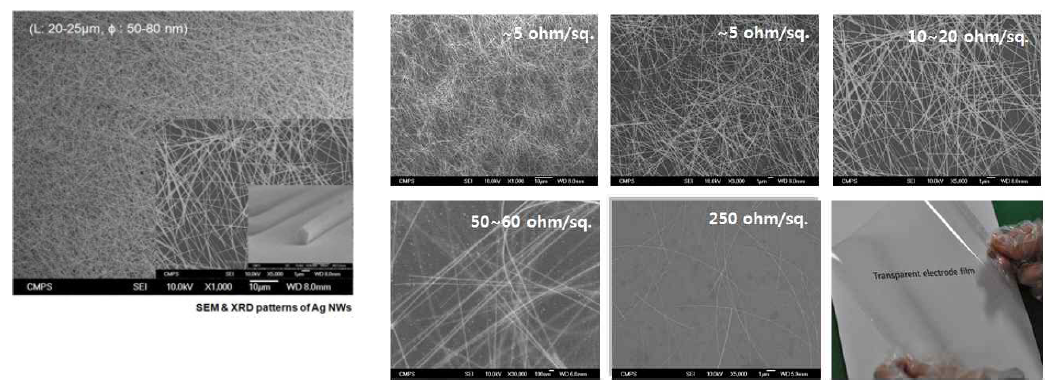 폴리올 합성법에 의해 개발된 Ag nanowire 잉크의 SEM image (좌) 및 Ag nanowire의 농도에 따른 박막의 전기 전도도 변화 (우)