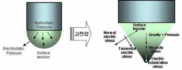 전기장 내의 유체가 받는 힘