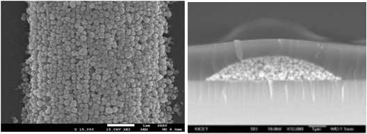 대면적 Ag-미세패턴의 SEM Image