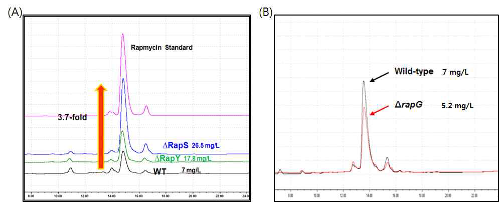 조절 유전자의 삭제를 통한 rapamycin 생산성향상 비교 (HPLC chromatogram).