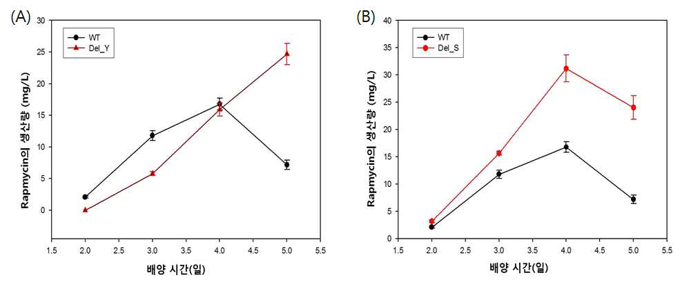 야생생산균주와 ΔrapY (A), ΔrapS (B) 균주의 배양시간에 따른 rapamycin 의 생산성 변화 추이