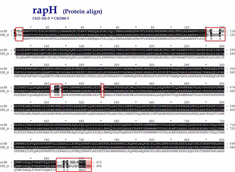 종근당바이오 mutagenesis로 인한 mutant 균주와 야생생산균주의 rapH 유전자의 amino acid 서열 비교 분석