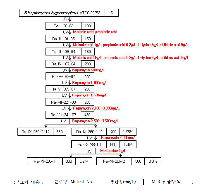 Genealogy of rapamycin producing-mutants.