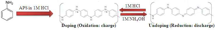 Polyaniline의 중합 메카니즘 및 충·방전시 산화상태.