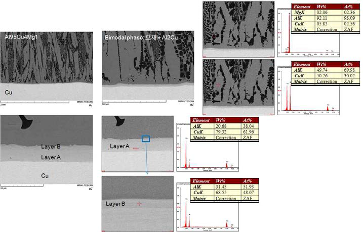 OC (Al95Cu4Mg1/무산소동) 시험편 계면 주사전자현미경 이미지