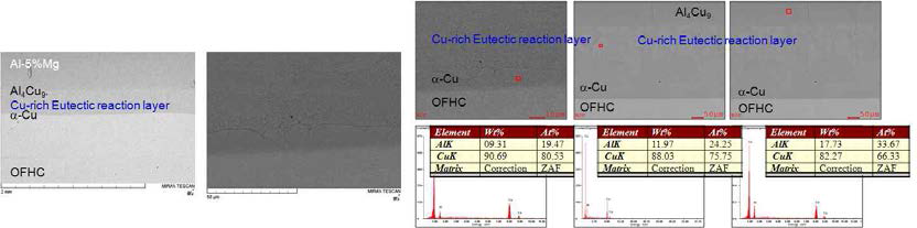 OD (Al-5%Mg/무산소동) 시험편 계면 주사전자현미경 이미지
