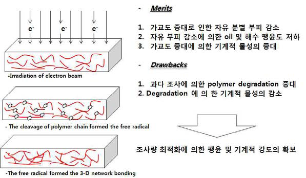 E-beam 조사에 의한 물성 변화 모식도