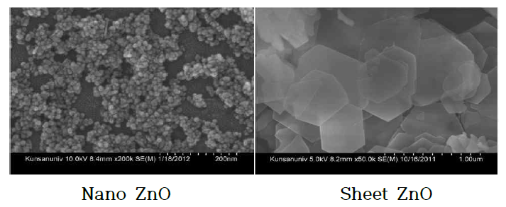 다른 형태의 산화아연(ZnO)의 SEM 이미지