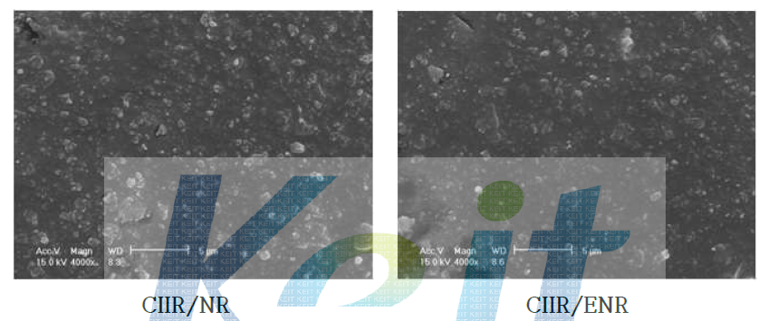 CIIR/NR과 CIIR/ENR의 SEM 이미지